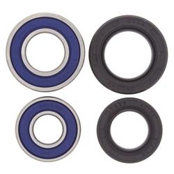 All Balls Racing Wheel and Carrier Bearing Seal Kits 22-51042