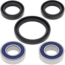 All Balls Racing Wheel and Carrier Bearing Seal Kits 22-51052