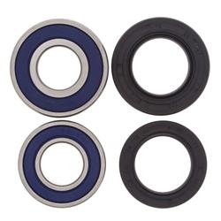 All Balls Racing Wheel and Carrier Bearing Seal Kits 22-51113