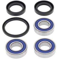 All Balls Racing Wheel and Carrier Bearing Seal Kits 22-51115