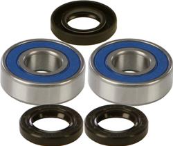 All Balls Racing Wheel and Carrier Bearing Seal Kits 22-51219