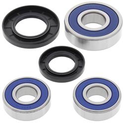 All Balls Racing Wheel and Carrier Bearing Seal Kits 22-51269