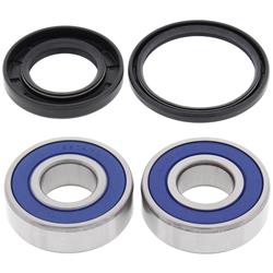 All Balls Racing Wheel and Carrier Bearing Seal Kits 22-51380