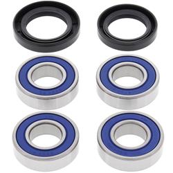 All Balls Racing Wheel and Carrier Bearing Seal Kits 22-51381