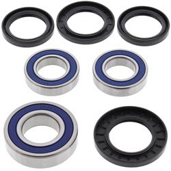 All Balls Racing Wheel and Carrier Bearing Seal Kits 22-51392