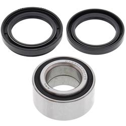All Balls Racing Wheel and Carrier Bearing Seal Kits 22-51434