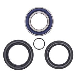 All Balls Racing Wheel and Carrier Bearing Seal Kits 22-51572