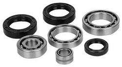 All Balls Racing Differential Seal Kits 22-520165