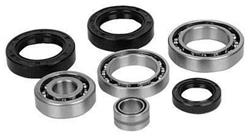 All Balls Racing Differential Seal Kits 22-520265