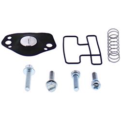 All Balls Racing Air Cut-Off Valve Rebuild Kits for 1998-2001 YFM600FW GRIZZLY 4X4 - 46-4045