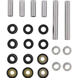 All Balls Racing Rear Independent Suspension Kits for 2024-2025 YXE1000 WOLVERINE X2 1000 R-SPEC, YXE1000 WOLVERINE X2 1000 XT-R - ALB-50-1274
