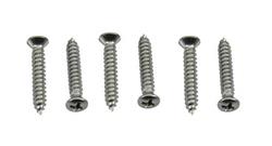 Auto Metal Direct Headlamp Bezel Screws for 1969 CAMARO - H-122