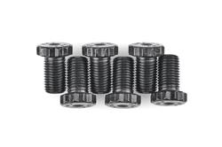 ARP Pro Series Flexplate Bolt Kits 200-2906