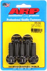 ARP Chromoly Bolts 675-1002