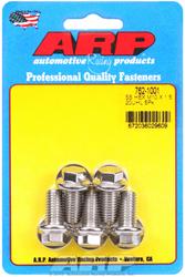 ARP Stainless Steel Bolts 762-1001