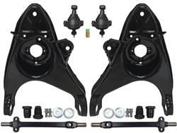Auto Pro USA, INC Control Arm Bushings and Bearings CA1011POLYLR