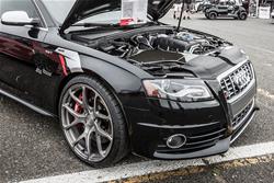 APR Sideburn Fender Decals PM100333