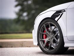 APR Sideburn Fender Decals PM100344