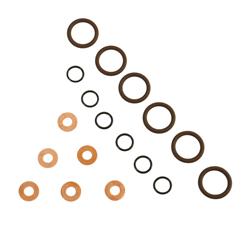 BD Diesel Fuel Injector O-Rings for 1998-2002 RAM 2500, RAM 3500 - 1075800