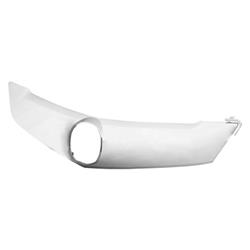 Coast to Coast International Body Parts Grille Moldings AC1217105C