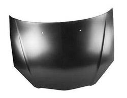 Body Parts Hoods for 2002-2006 RSX - AC1230111