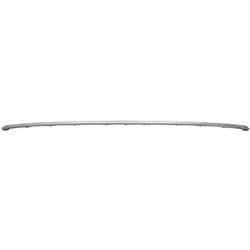 Coast to Coast International Body Parts Bumper Trim BM1144134