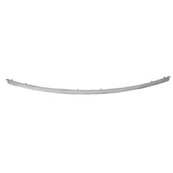 Coast to Coast International Body Parts Bumper Moldings FO1044120