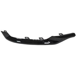 Coast to Coast International Body Parts Bumper Moldings GM1146114