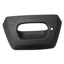 Coast to Coast International Body Parts Tailgate Handle Bezels GM1916105
