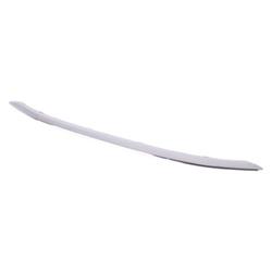 Coast to Coast International Body Parts Bumper Trim HO1044107