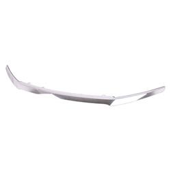 Coast to Coast International Body Parts Grille Moldings HO1217108C