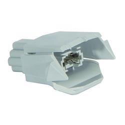 Coast to Coast International Body Parts License Plate Light Assemblies HO2875101