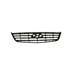 Coast to Coast International Body Parts - Grilles and Grille Inserts for 2006-2009 AZERA - HY1200149OE