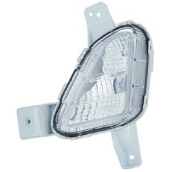 Coast to Coast International Body Parts Light Bulbs HY2562106C