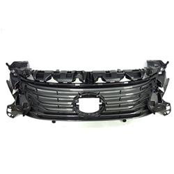 Coast to Coast International Body Parts Grilles and Grille Inserts LX1200179