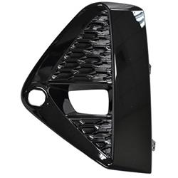 Coast to Coast International Body Parts Fog Light Inserts NI1038165