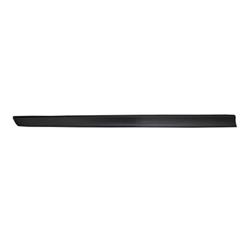 Coast to Coast International Body Parts Body Moldings NI1304101