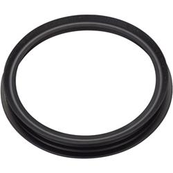 Coast to Coast International Body Parts Weatherstrip Seals, Individual Position SPILO202