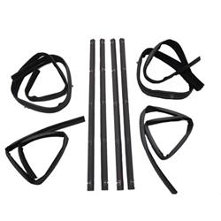 Coast to Coast International Body Parts Weatherstrip Seals, Individual Position WST010246