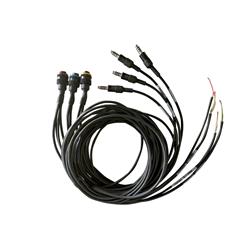 ZeroNoise Fearless WRC CAN Bus Digital Amplifier Wiring Harnesses 6100037