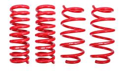 BMR Lowering Springs SP110R