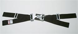 RJS Classic Series Latch and Link  2-Point Harness 15002103