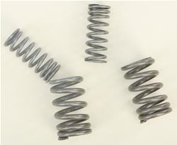 BBR Motorsports Powersports Valve Springs 411-HCF-1504