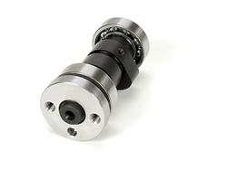 BBR Motorsports Powersports Camshafts 80-9939