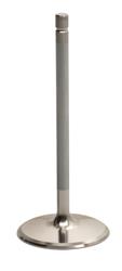 Brodix Cylinder Heads Intake Valves BR 72225