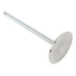 Brodix Cylinder Heads Intake Valves BR 81665