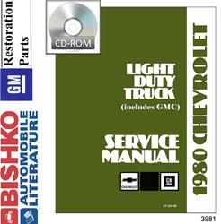 Bishko Service Manual DVDs 3981