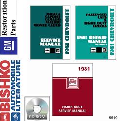 Bishko Automotive Literature Digital How-To and Reference Media 5519