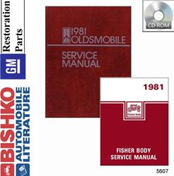 Bishko Automotive Literature Digital How-To and Reference Media 5607