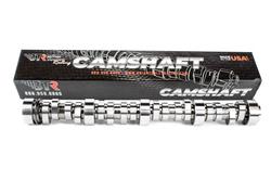 BTR V2 Series Camshafts 31218110NSR